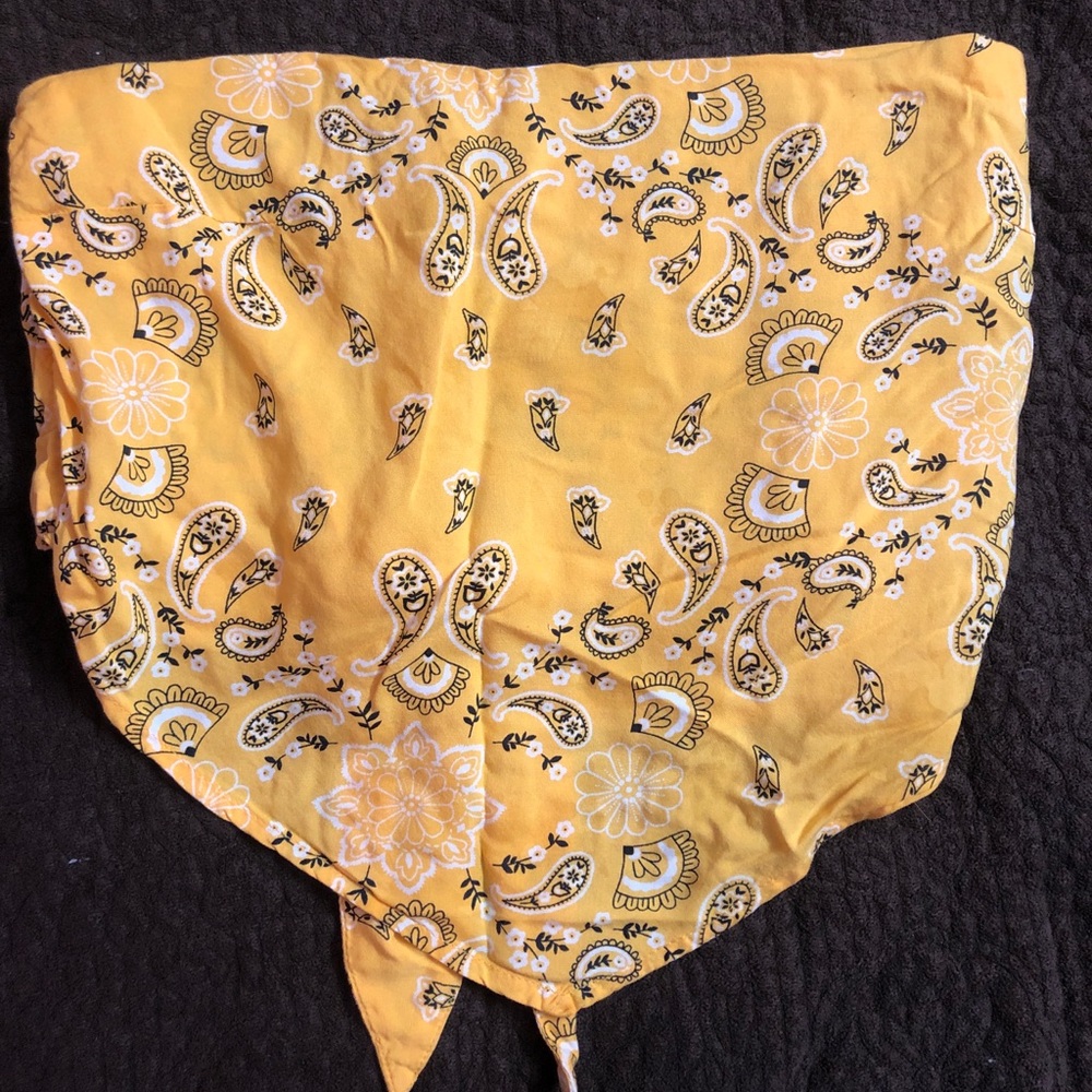 Bandana crop top